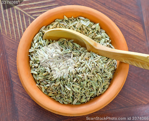 Image of fennel