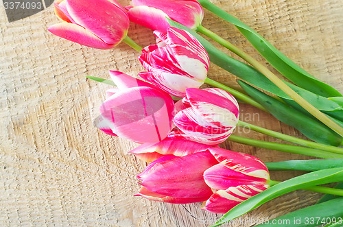 Image of Tulips