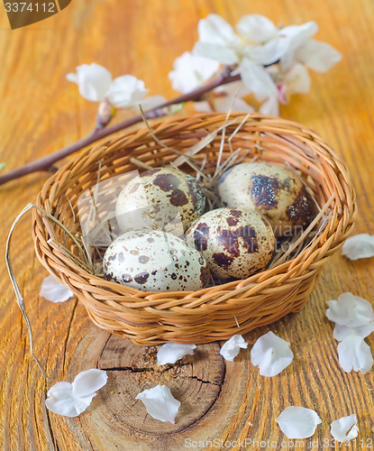 Image of quail eggs