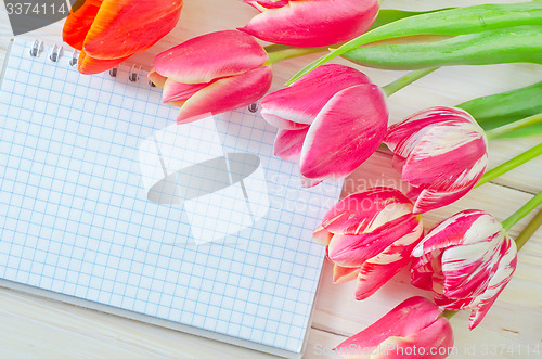 Image of Tulips