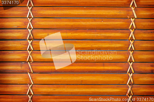 Image of bamboo background