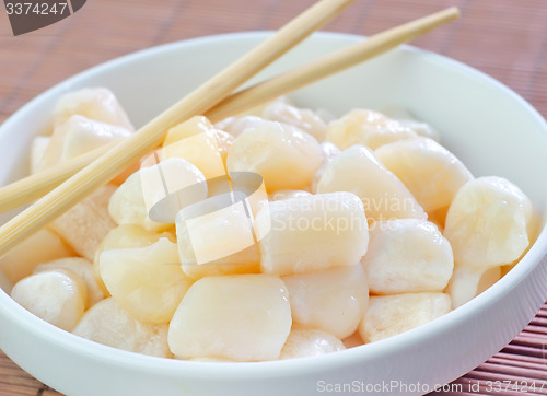 Image of scallop