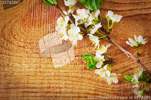 Image of flowers on wooden background