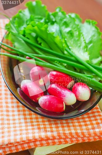 Image of radish and salad