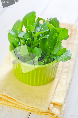 Image of ruccola