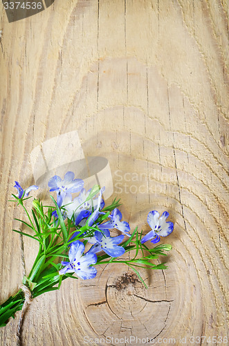 Image of flowers on wooden background