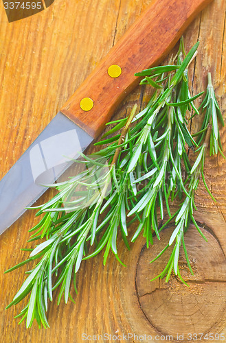 Image of rosemary