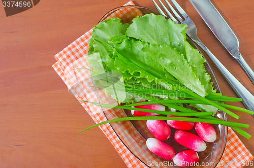 Image of radish and salad