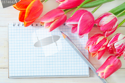 Image of Tulips