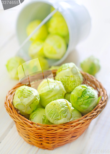 Image of brussel cabbage