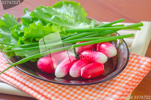 Image of radish and salad