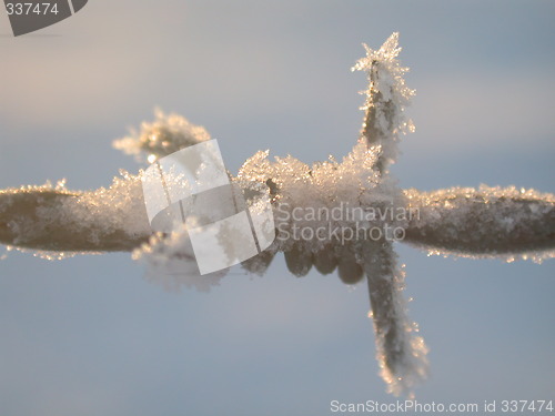 Image of frozen barb wire