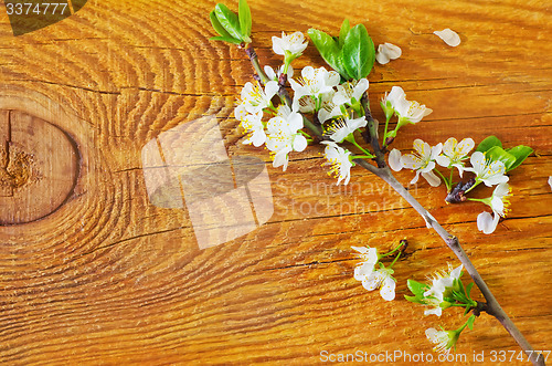 Image of flowers on wooden background
