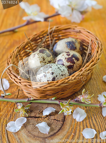 Image of quail eggs