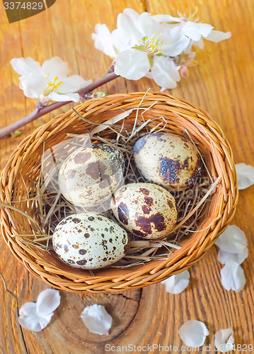 Image of quail eggs