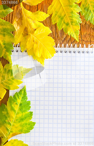Image of note and leaves on wooden background