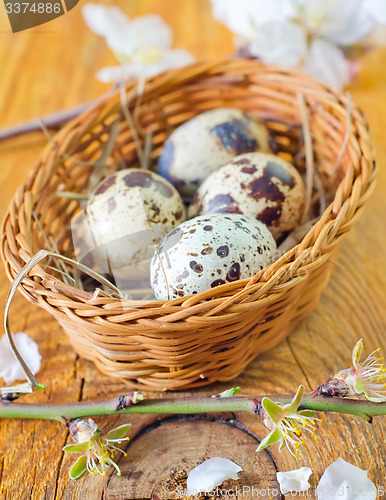 Image of quail eggs