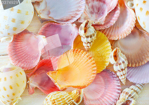 Image of shells