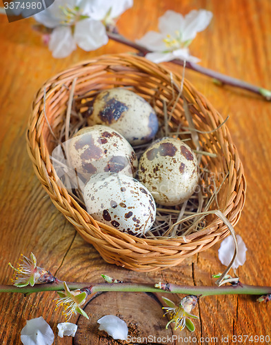 Image of quail eggs