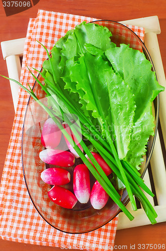 Image of radish and salad