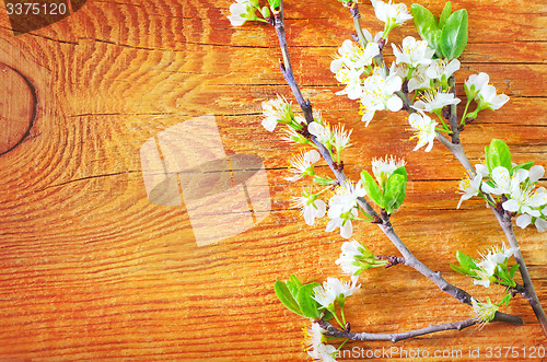 Image of flowers on wooden background