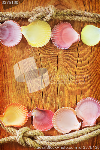 Image of shells on wooden background