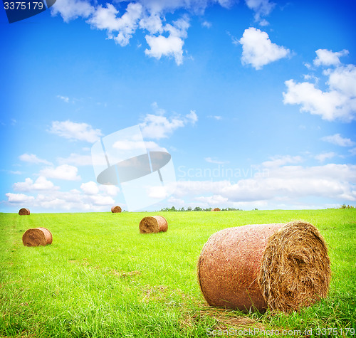 Image of haystack