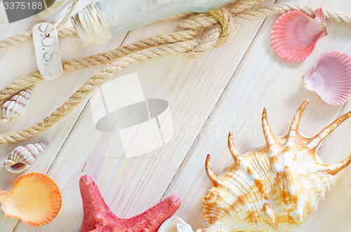 Image of shells