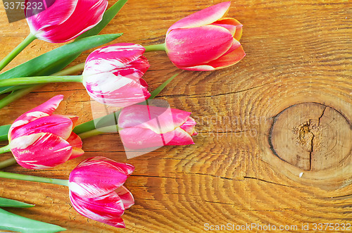 Image of Tulips