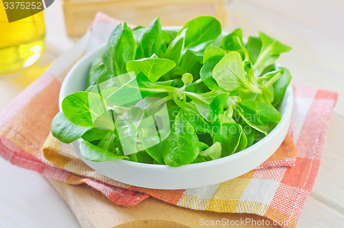 Image of corn salad