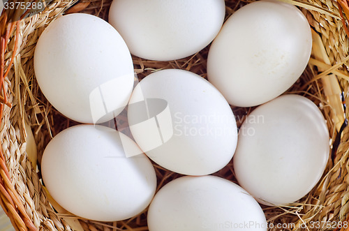 Image of raw eggs