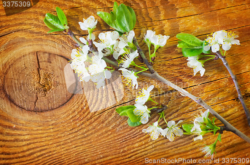 Image of flowers on wooden background
