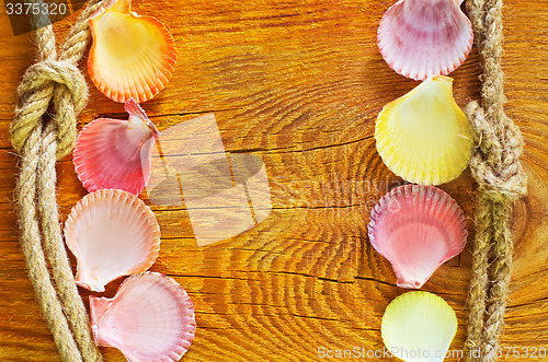 Image of shells on wooden background