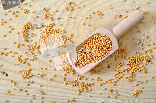 Image of mustard