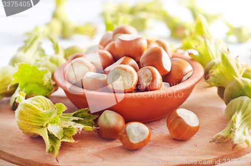 Image of hazelnuts