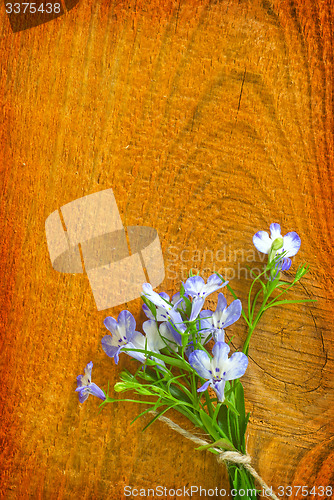 Image of flowers on wooden background