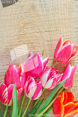 Image of Tulips