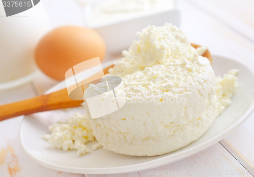 Image of Milk products, fresh cottage in the white plate