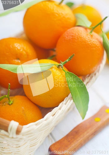 Image of mandarins