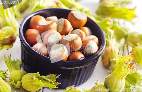 Image of hazelnuts