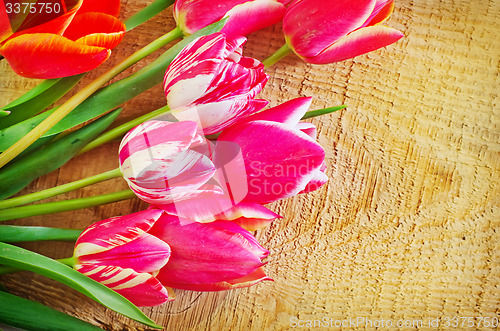 Image of Tulips