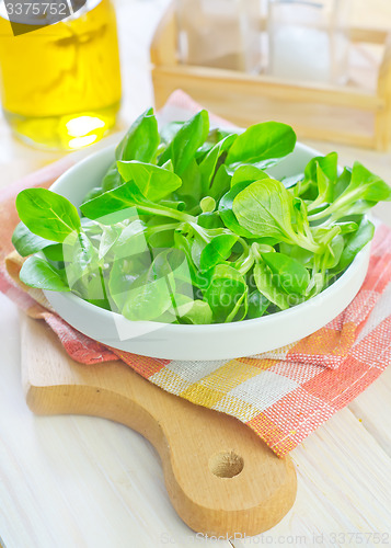 Image of corn salad