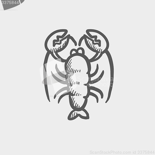 Image of Lobster sketch icon