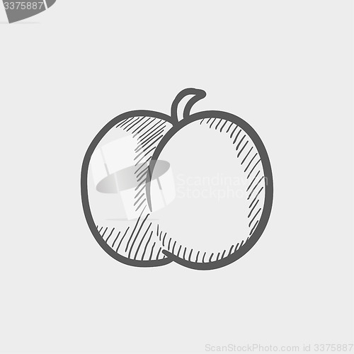 Image of Fruit sketch icon