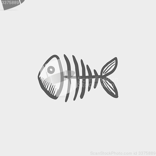 Image of Fish skeleton sketch icon