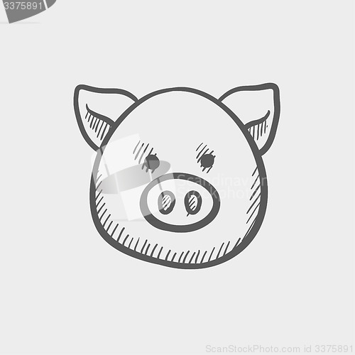 Image of Pig face sketch icon