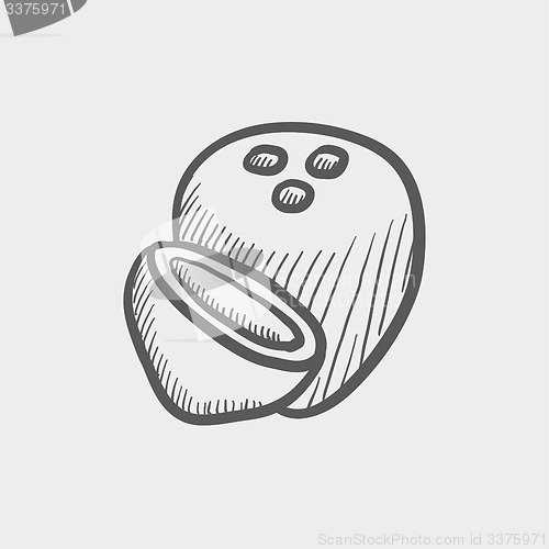 Image of Coconut sketch icon