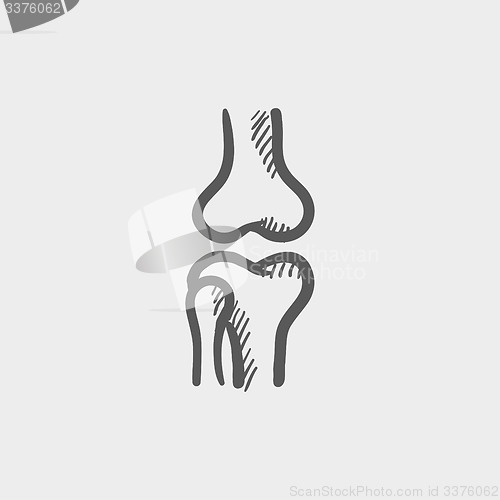 Image of Knee joint sketch icon