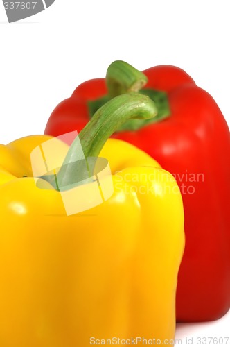 Image of Isolated papricas