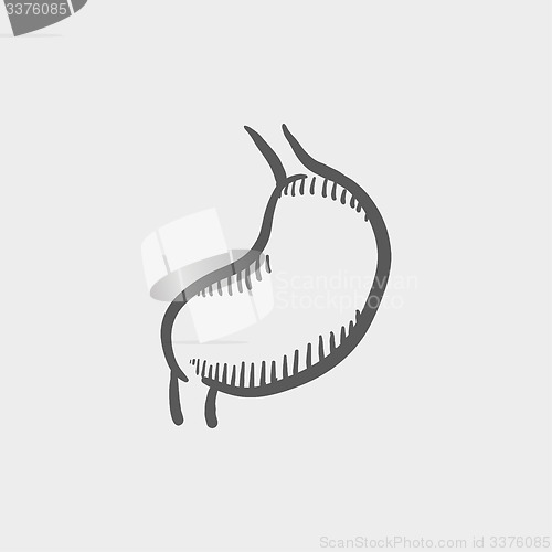 Image of Stomach sketch icon